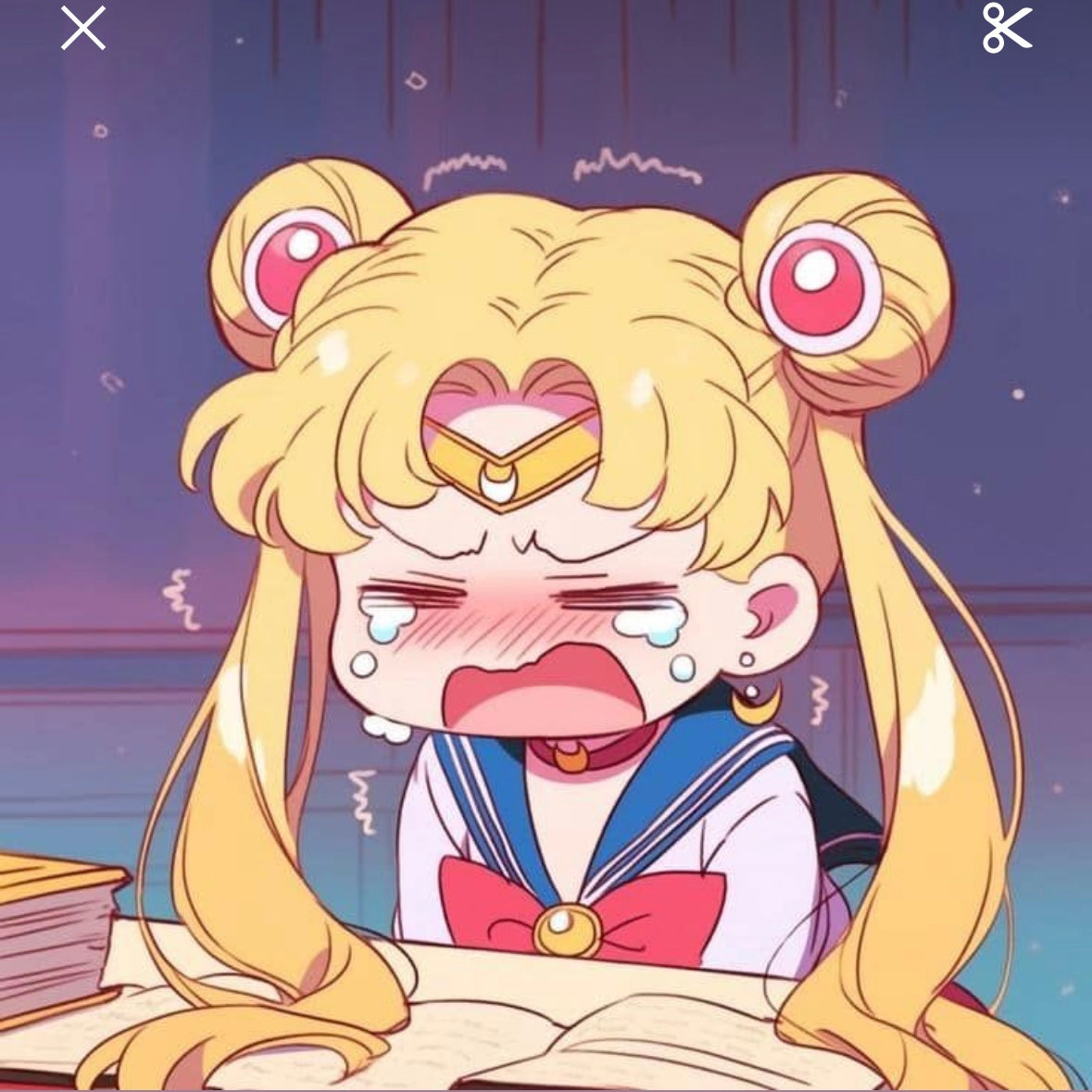 Sailor Moon - Mystery set
