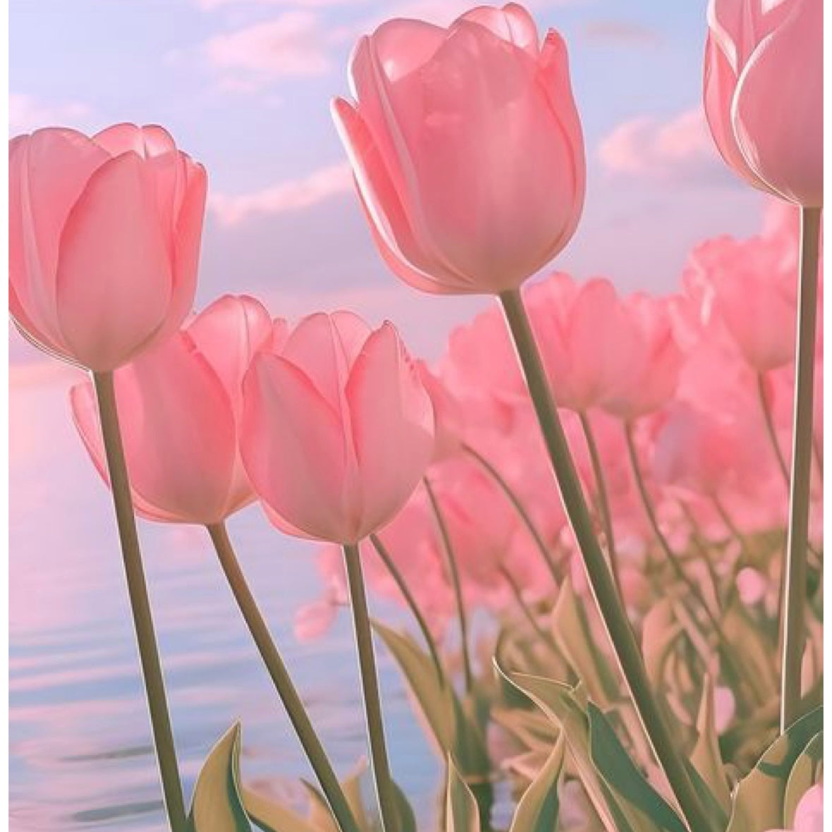 Tulips and Clouds - Mystery set