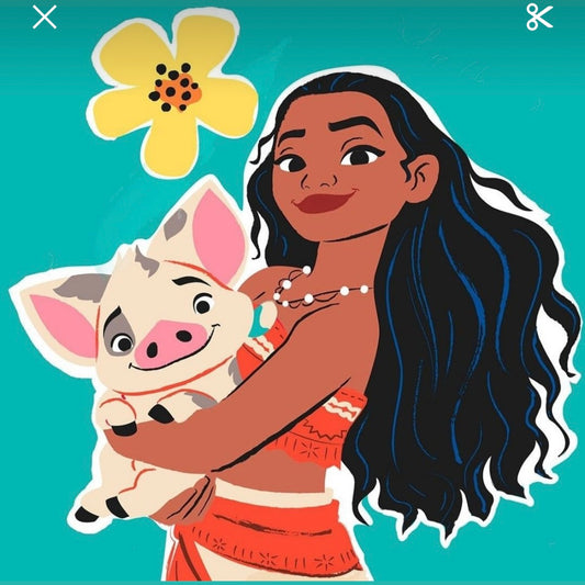 Moana - Mystery set