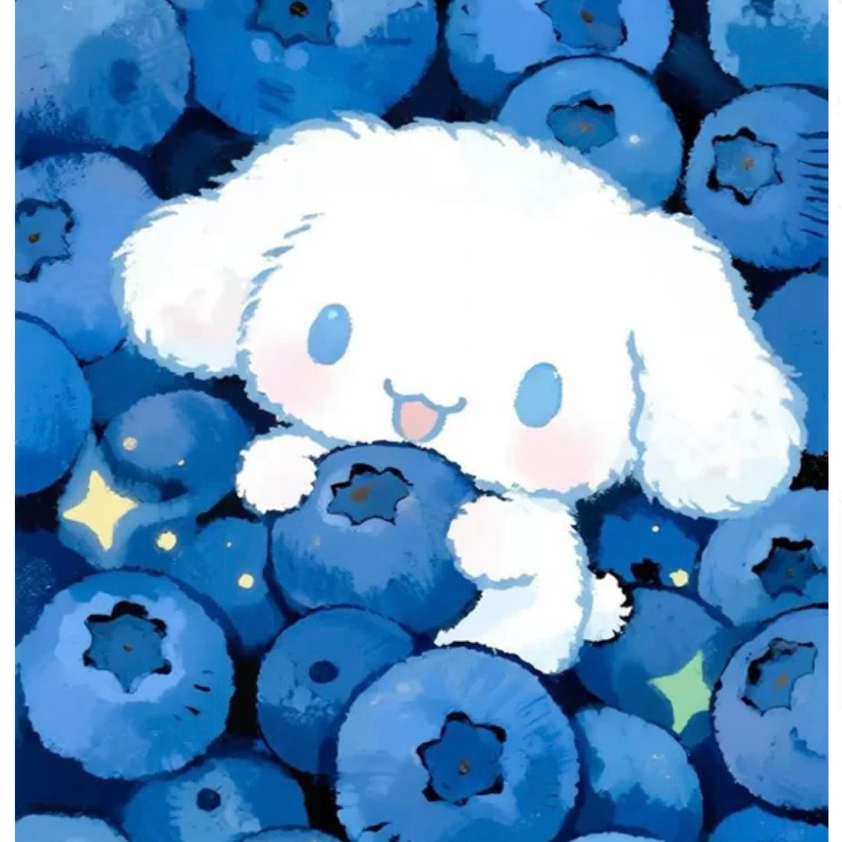 Cinnamoroll & Blueberries - Mystery set