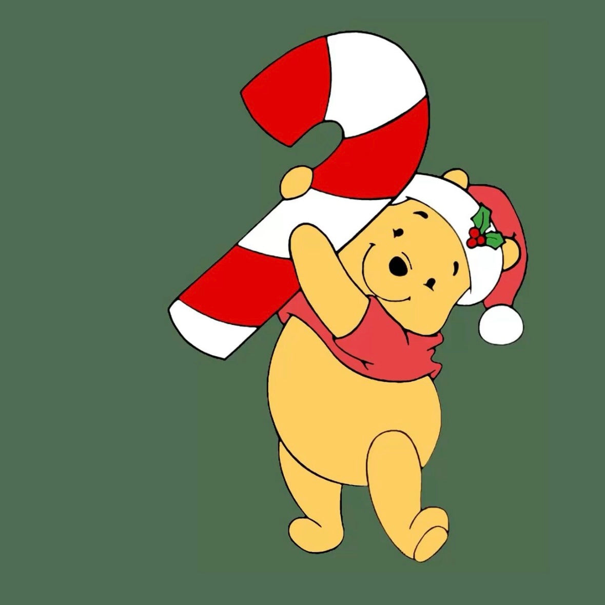 Winnie  - Mystery set